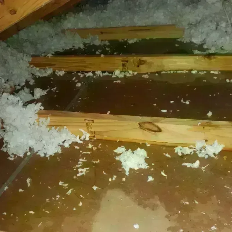 Attic Water Damage in Rural Hall, NC